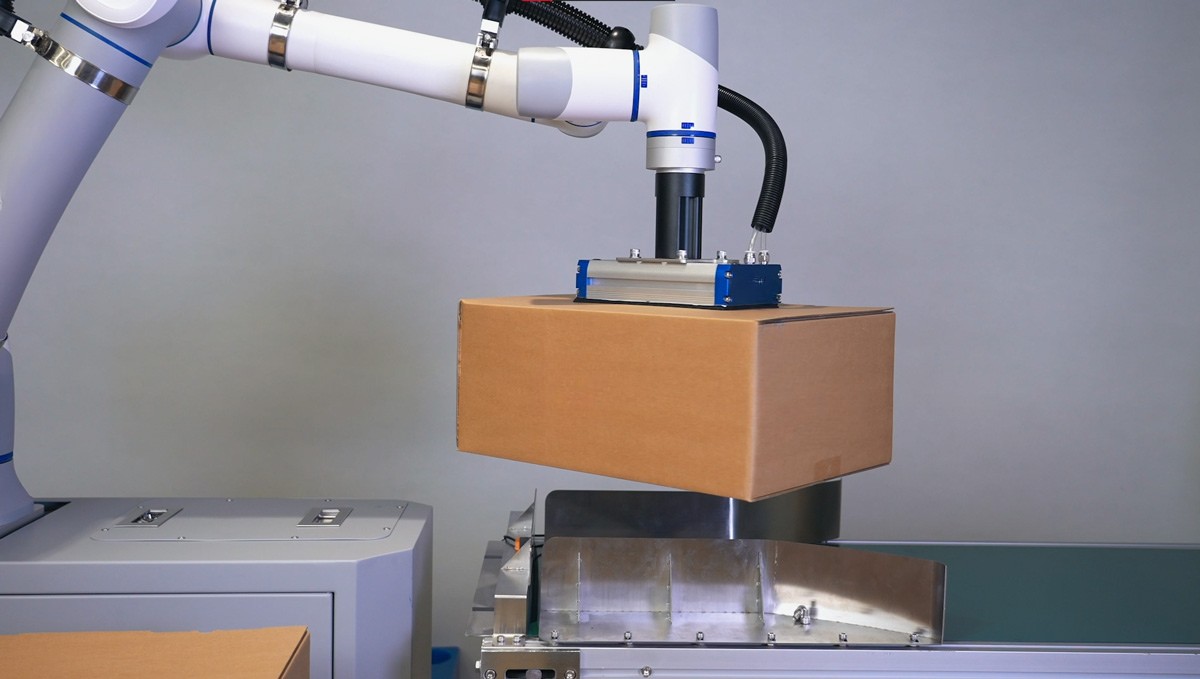 ENZAC bagging and palletizing system