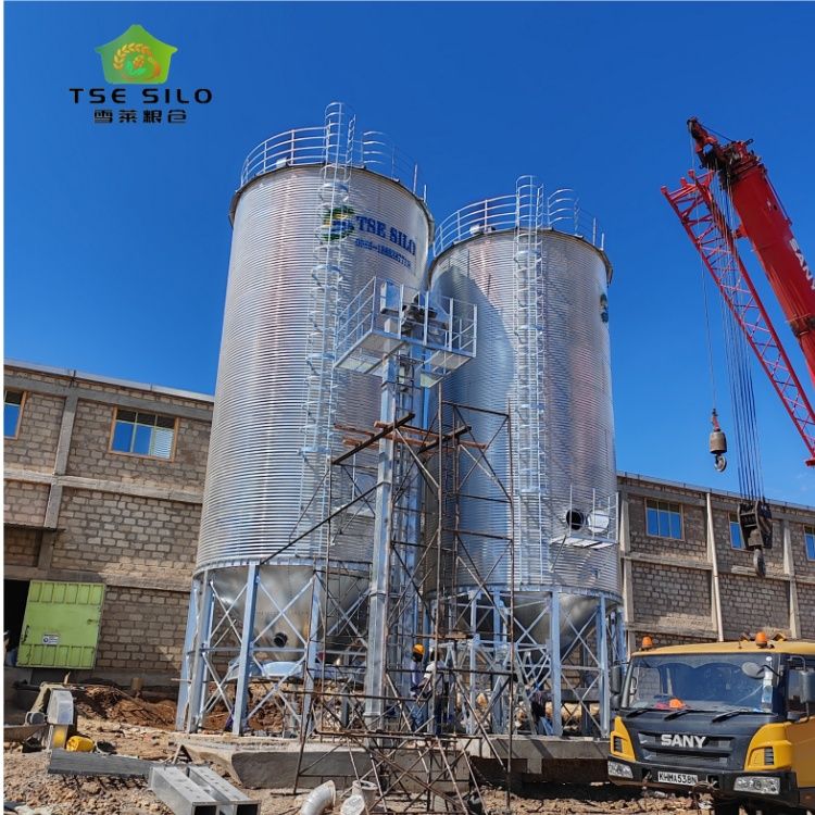 Silo / Bulk Storage